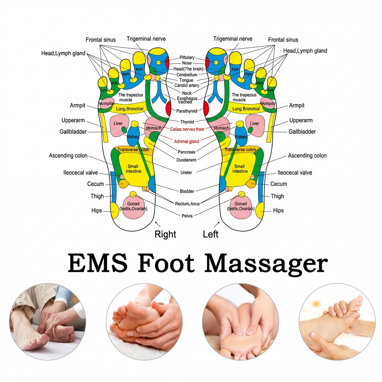 NeuroStep EMS Recovery Massager